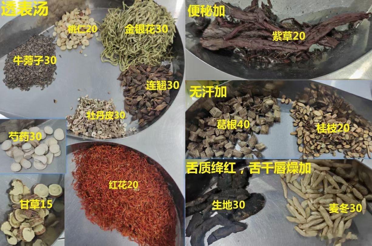 透表法实践组方——​透表汤辩证：温病，咽喉肿痛为特征的病毒性感冒病势：​血液通过