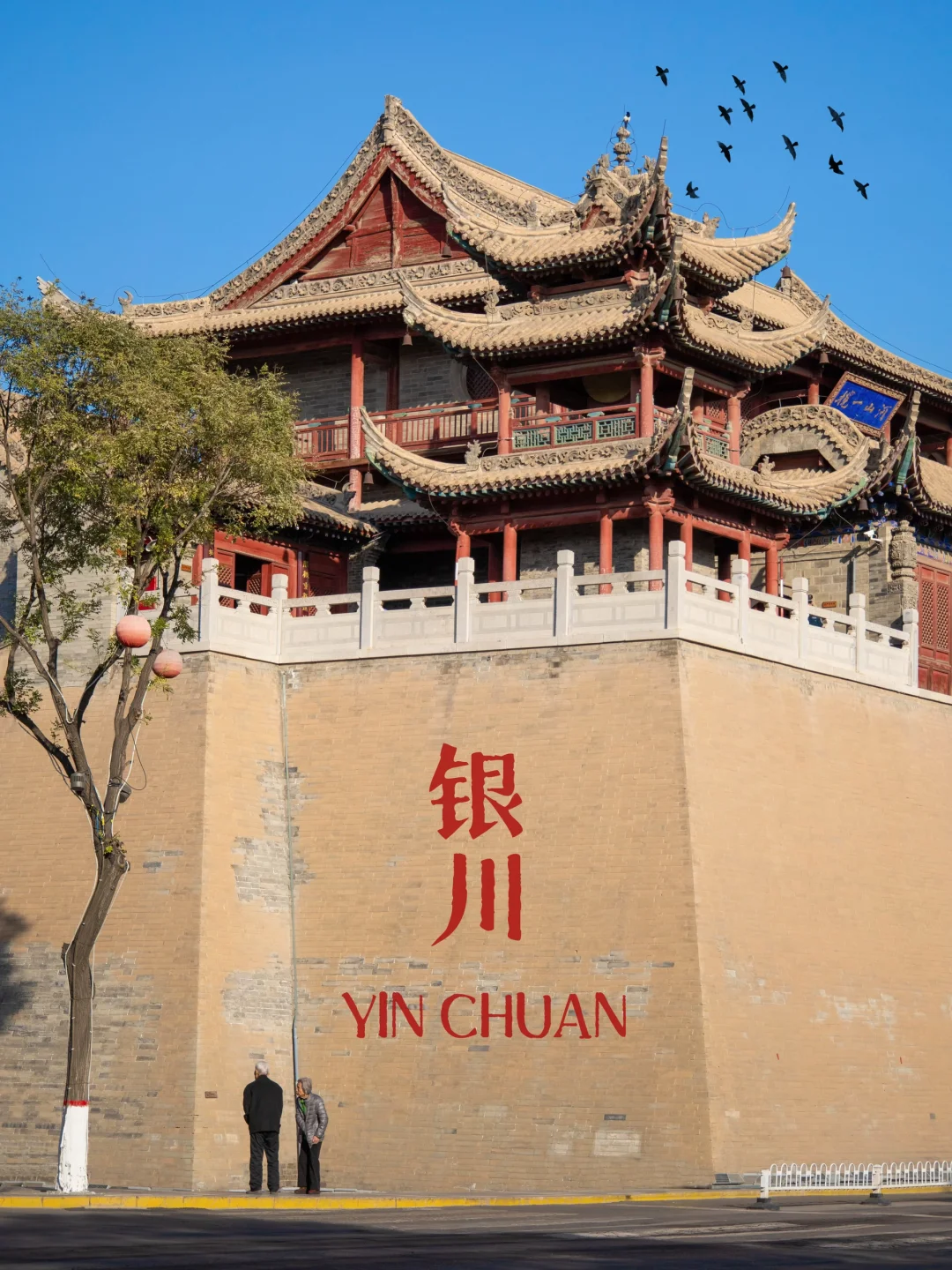 如果来银川只能玩1天，请直接复制这条路线‼️