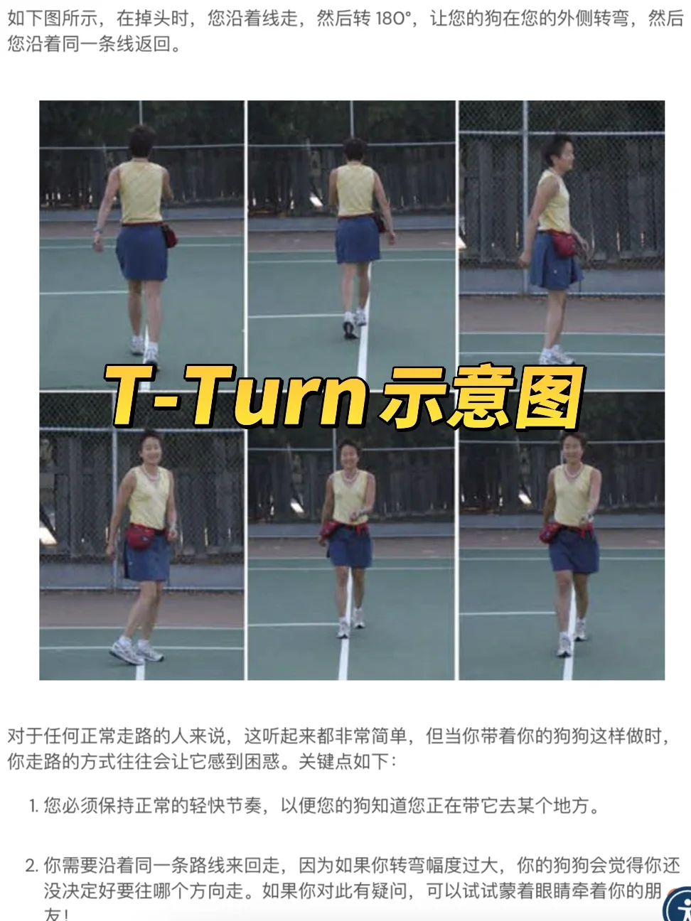 遛狗的本质是用身体语言和狗子沟通