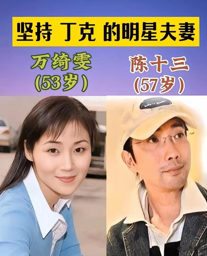 丁克，丁克！到底为什么要丁克呀？这么多明星复习都要丁克，真的是让人想不通，有个小