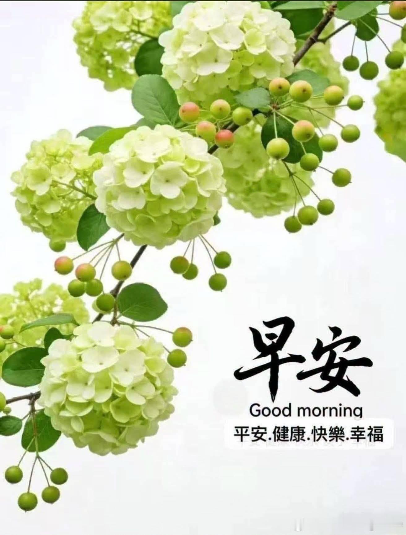 早上好 ​​​