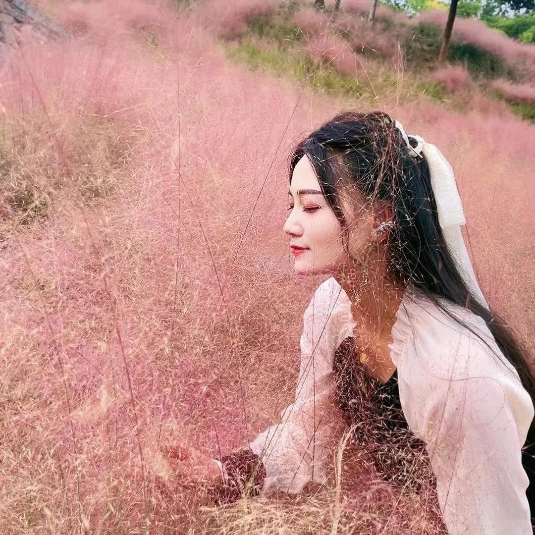 粉色的梦幻草地，温柔的午后时光梦幻粉色的花海 粉嫩春日花海 紫色小花海 粉色的优