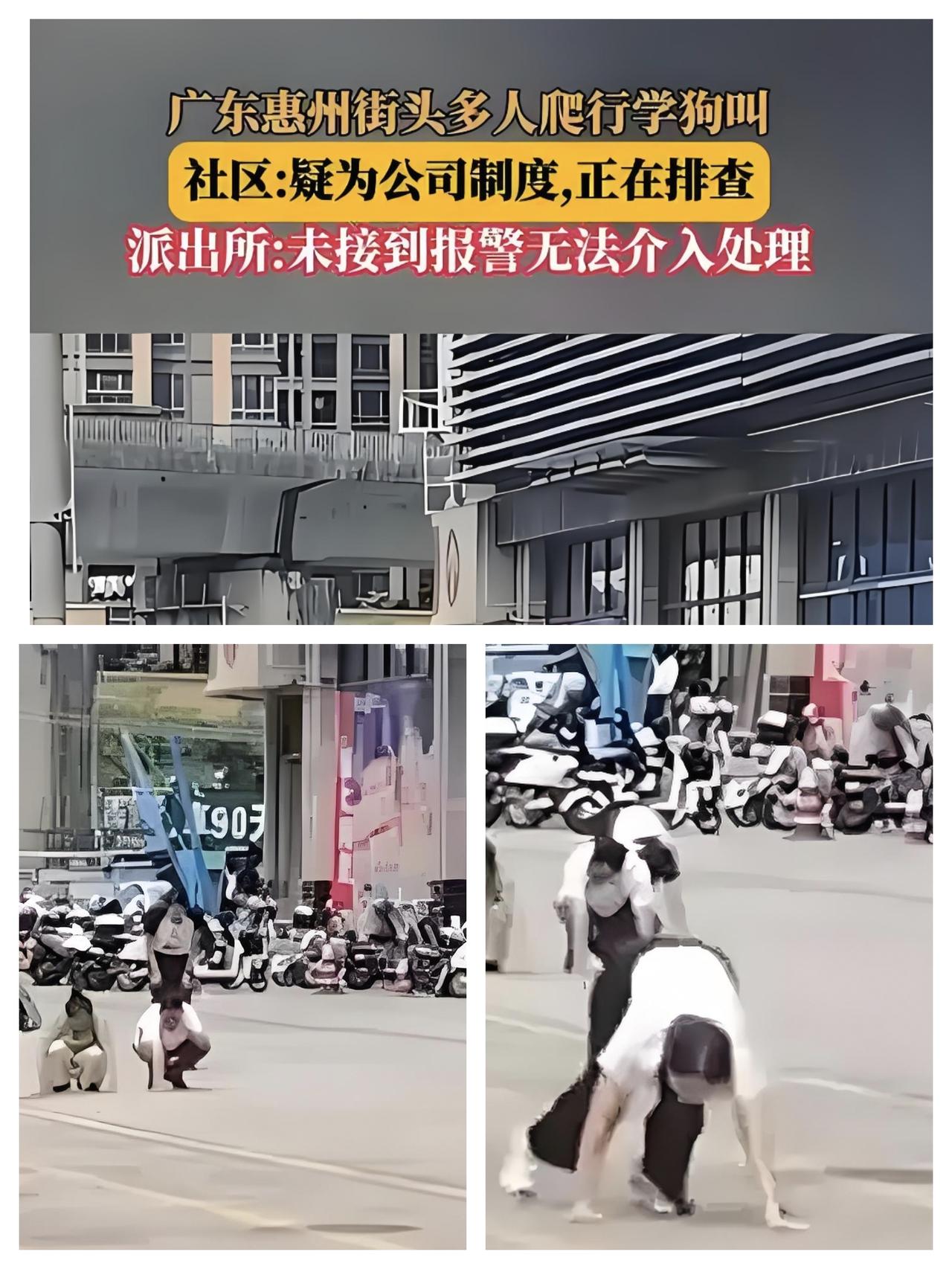  街头多人在地上爬行学狗叫！当看到这个的时候，真是让人震碎三观！

真是太荒唐了