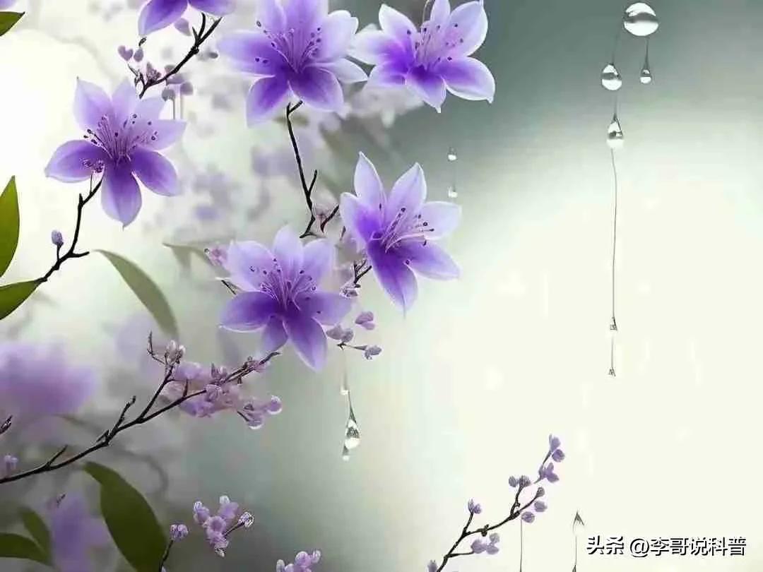 《学问修炼行》

平沙落雁处，斜风带斜阳。
绿柳依依舞，纤影映亭长。

古人心性