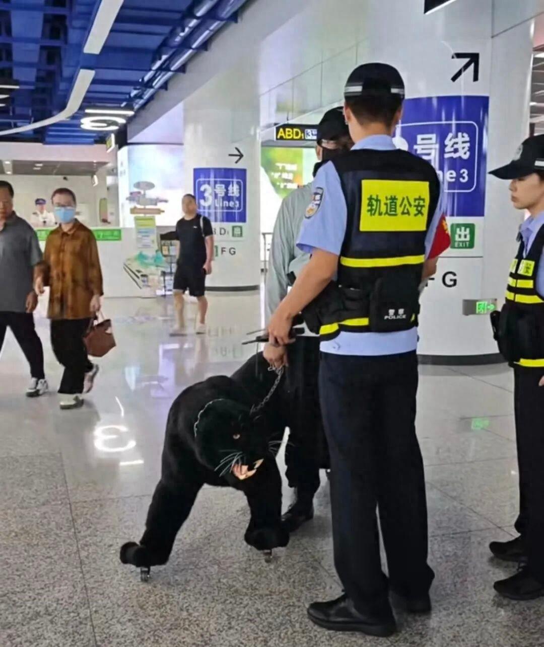 🐒男子用链条牵着“黑豹”进地铁，不少路人被吓到，济南地铁回应：尺寸合规可以携带