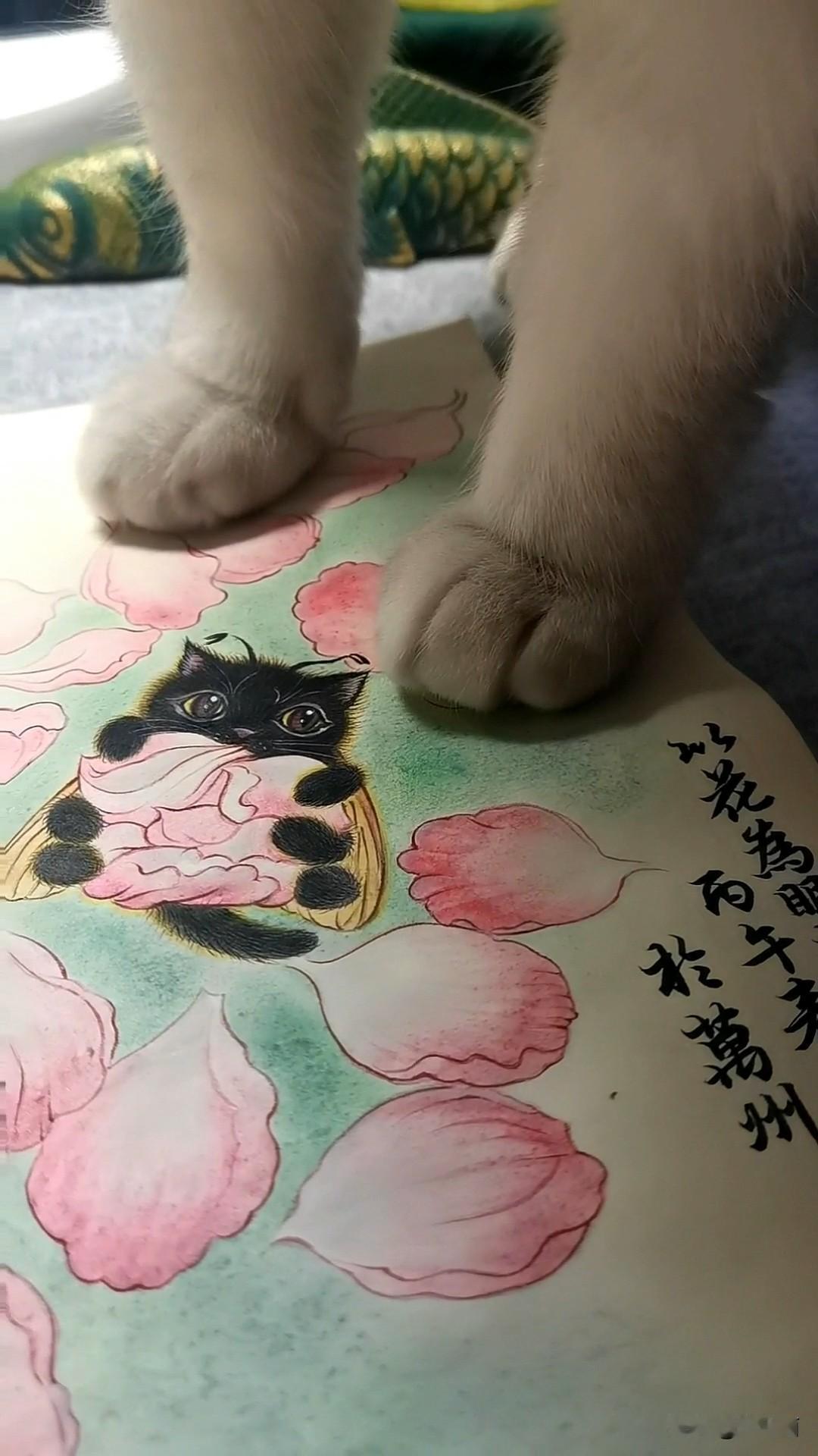 生命落幕，亦是新生 🌸🐝
下辈子，做只无忧无虑的小猫吧 🙏
晒一张相册里的