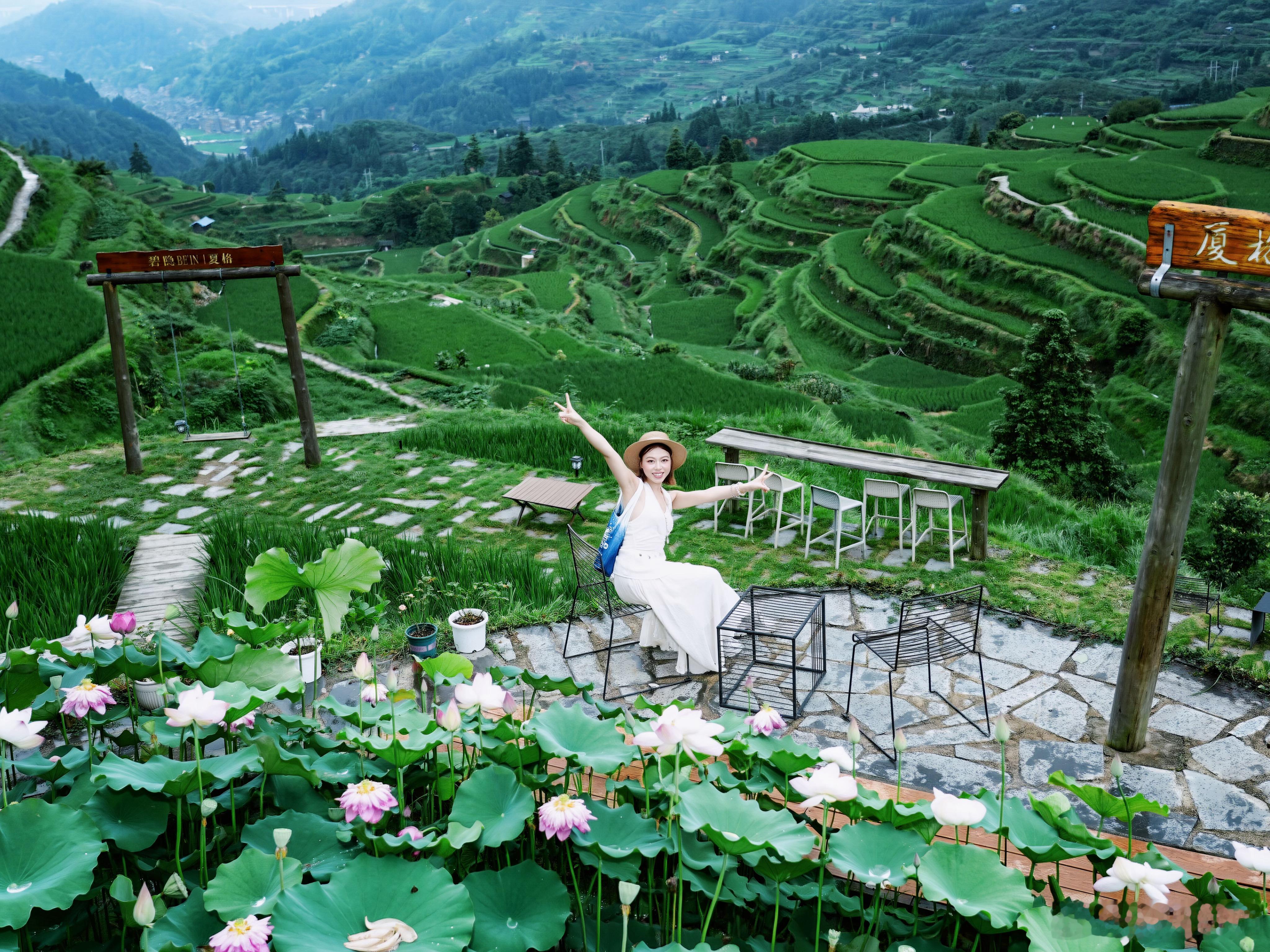 八月祝你我渐入佳境好运“莲莲”~