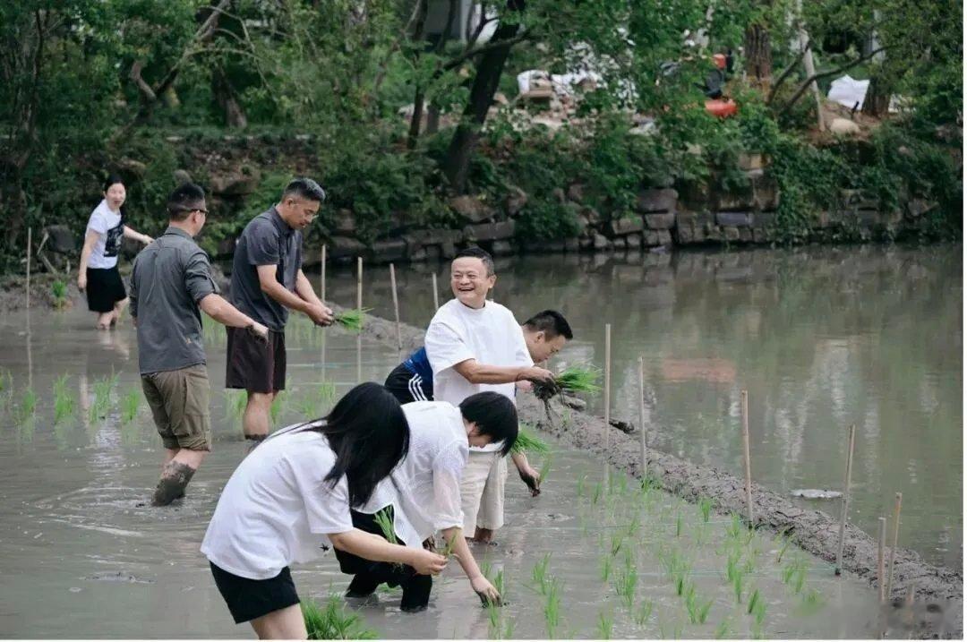 马老师的团建活动是下田劳动，插秧种苗，享受田园之乐，这应该不会被人说作秀吧？ 