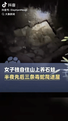 “太佩服了！”9月25日，湖南永州，女子一人在山上养石蛙，晚上正在屋里睡觉，突然