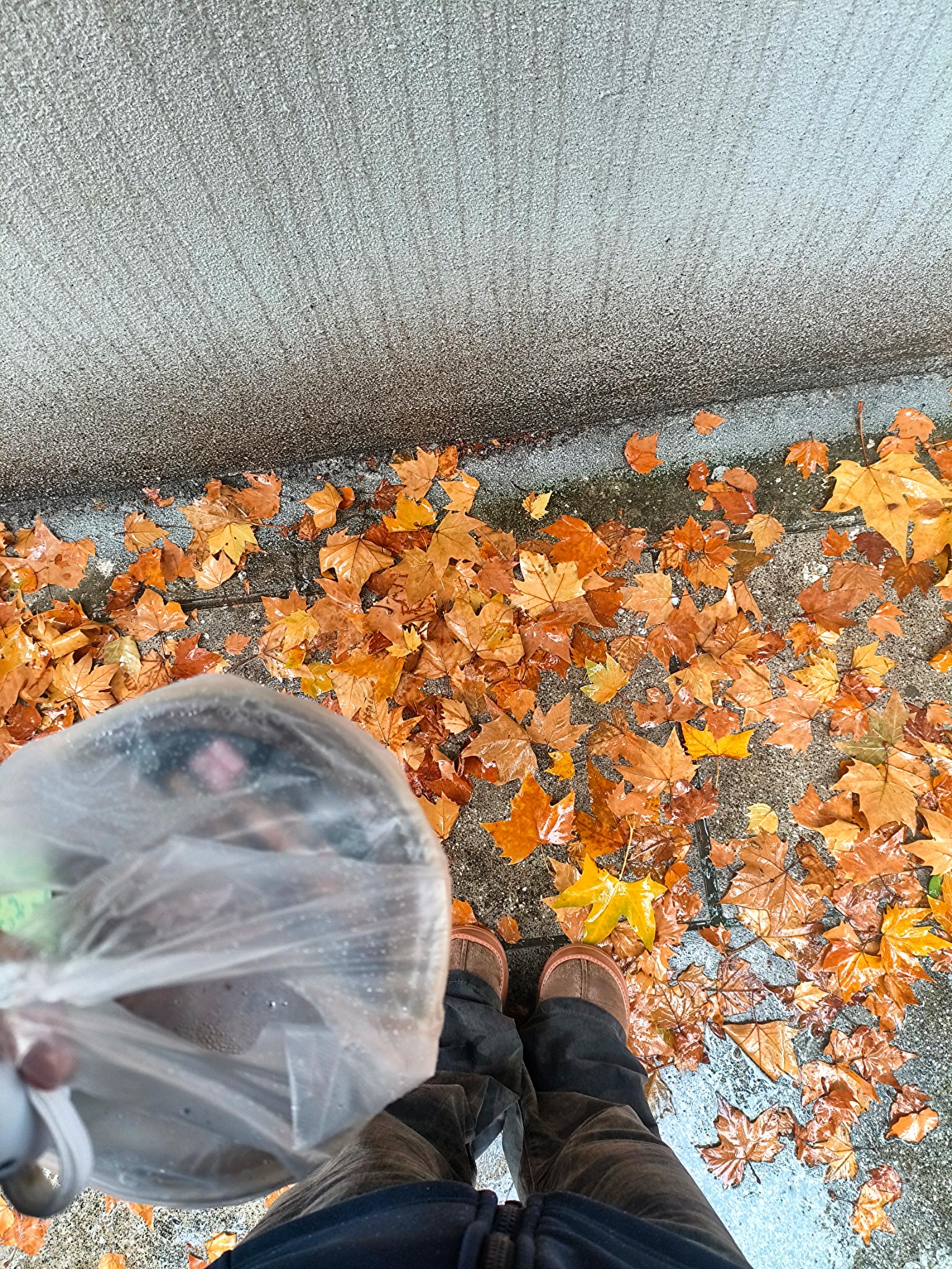 每段路都有它的意义 别频频回望 也别否定当时的坚持