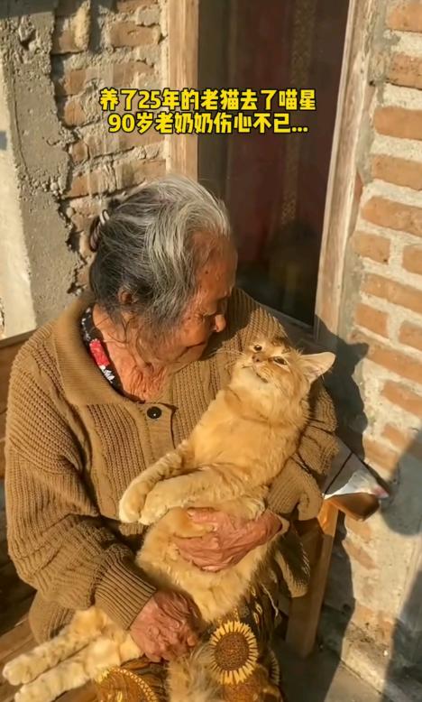 刷到这一幕瞬间破防了，眼泪止不住地往下掉。90岁老人抱着陪伴自己二十五年的猫猫，