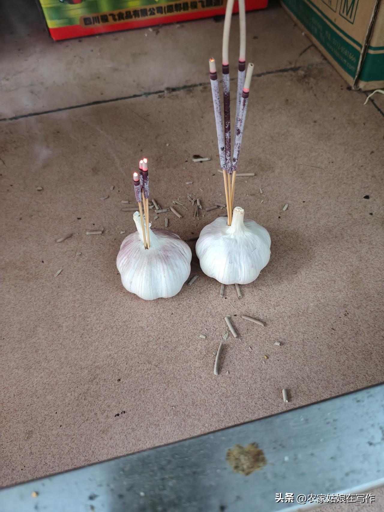 给大家说个你看了准会笑的事，今天，我见屋里有小飞虫飞来飞去，就想着得想个办法，咋