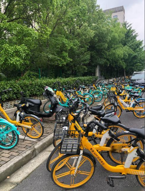 近日，一名网友发视频称，她带三个孩子去湖北武汉旅游，在回酒店的路上，扫码骑了一辆