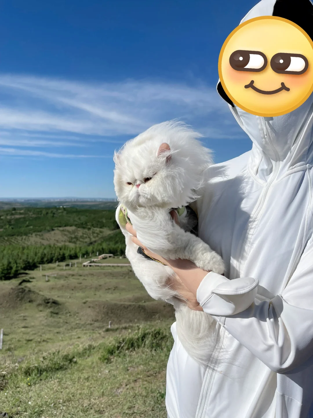 潦草小猫和潦草小狗🐶