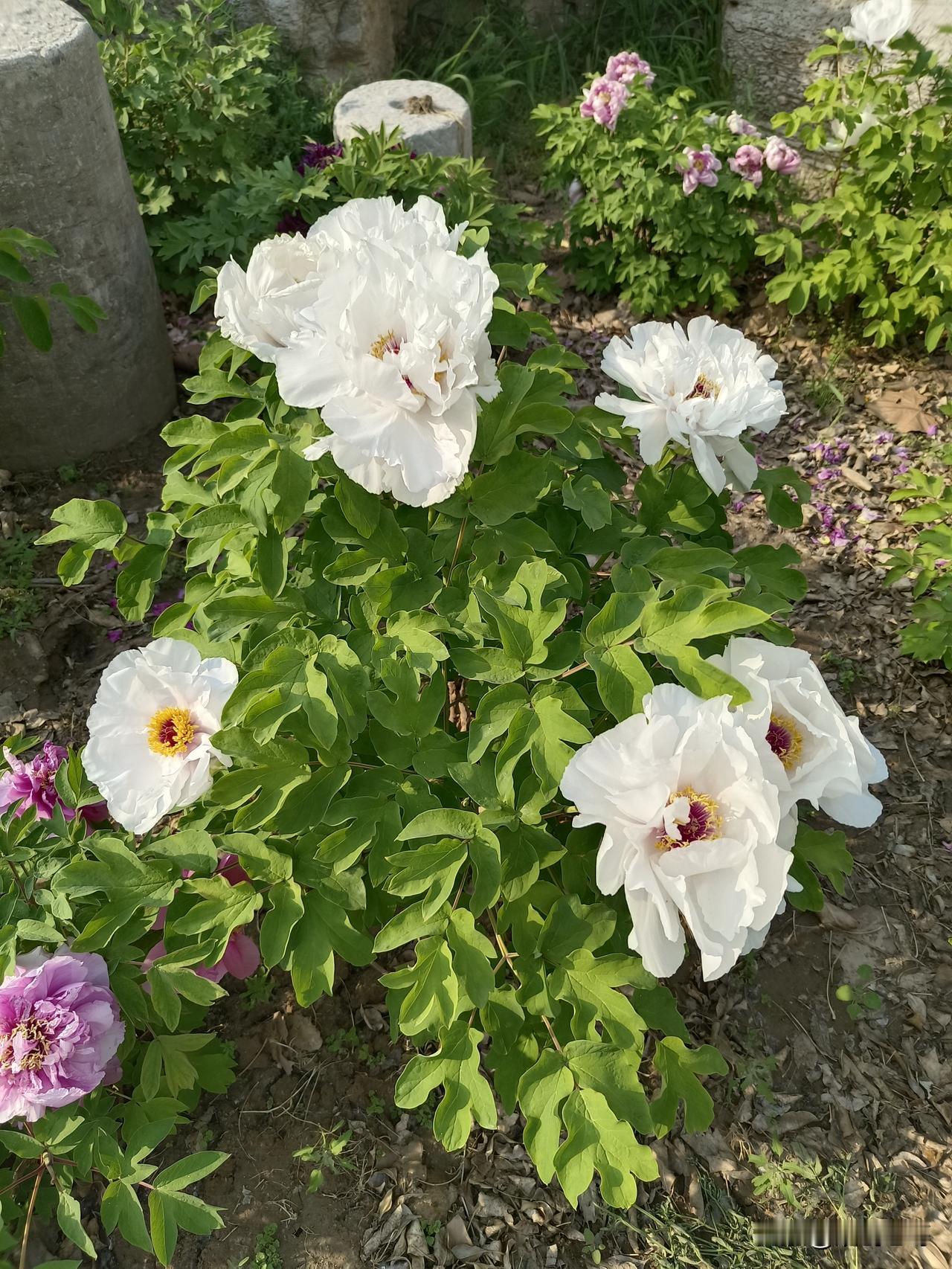 某些坚持阶级斗争意识的人看来是看不见事实也听不进道理的。他们往往会说，现实中阶级