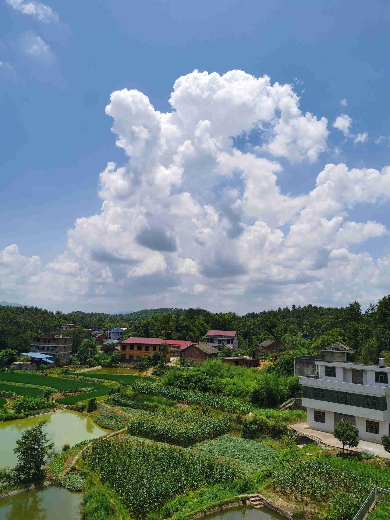 我的今日状态：😁轻松愉快
我这里的天气：☀️晴天
天上的云，可以任意忘为，想变