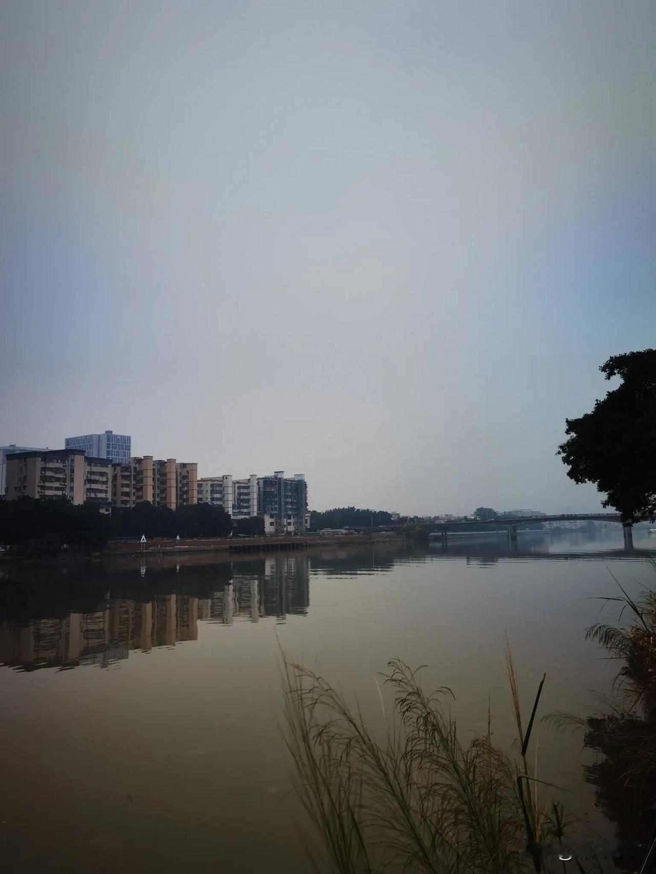 晒图笔记大赛今天广州的天气变了，时不时下点毛毛雨，雾朦朦的感觉，江畔的风景依旧美