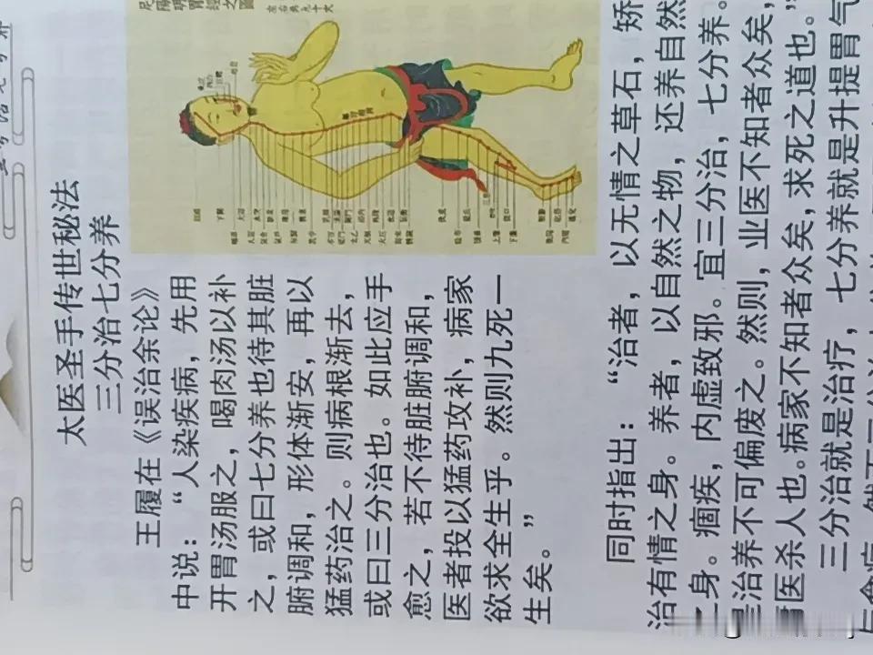 中医养生金句那可太多了，“三分治，七分养”“年轻不养生，老时养医生”都很经典。像