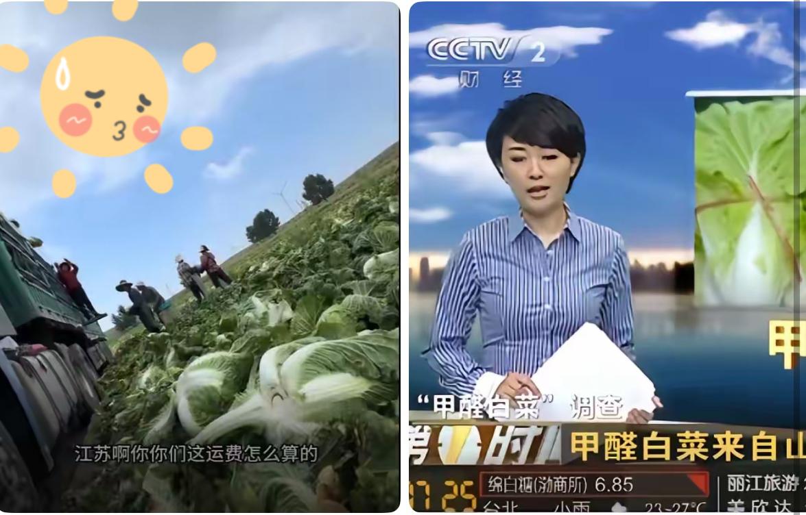 汤家凤评论张家口大白菜泡甲醛事件，他说包括福建毒杨梅，谁敢保证以后不会再发生？类