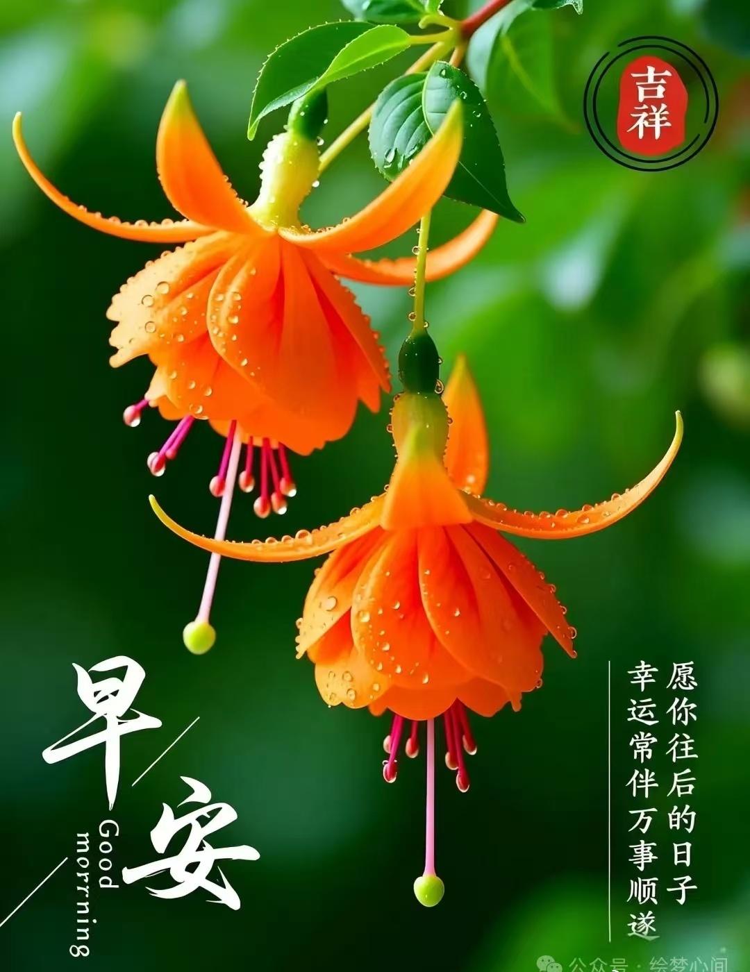 今天是3月10号 星期二 农历正月二十二 春光渐好花盛开，心境常欢事自顺。生活 
