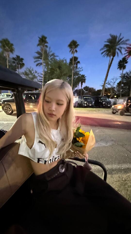 🌻🌻
