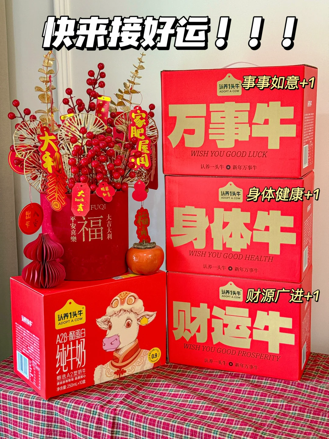 送礼首选！过年走亲戚带上这个好运连连！