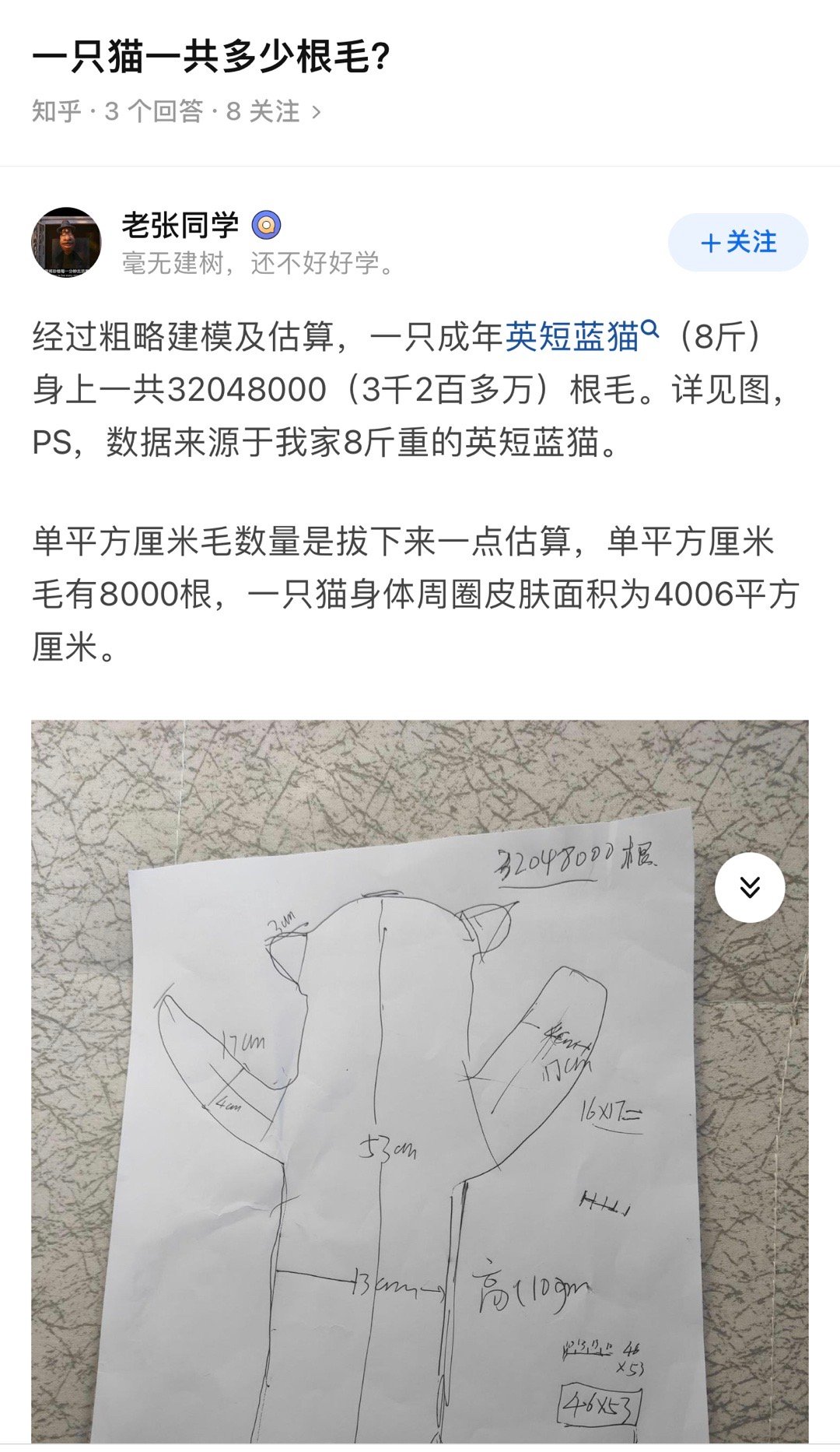 #科学育猫# 一只猫可能有超过1,000万根毛，如果一年更新一次，那么每天要掉3
