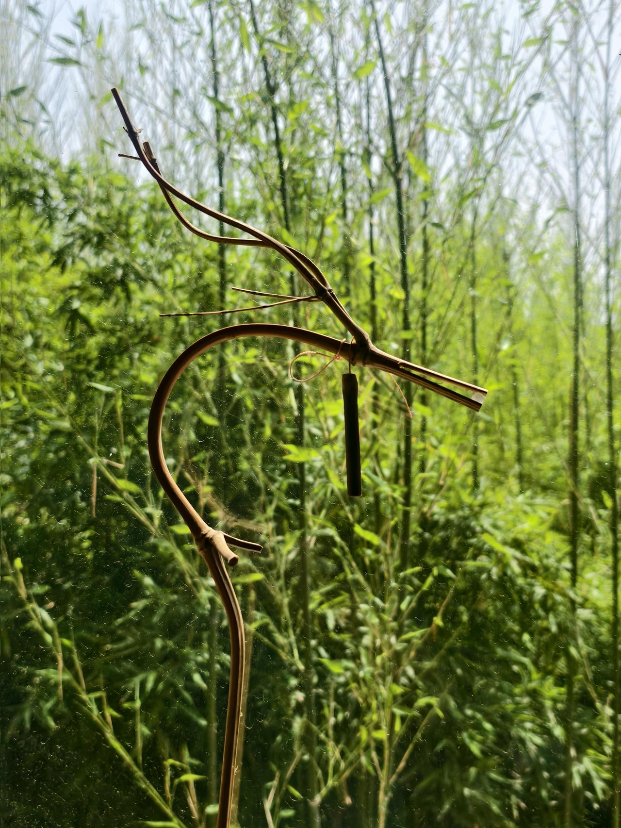竹林的艺术