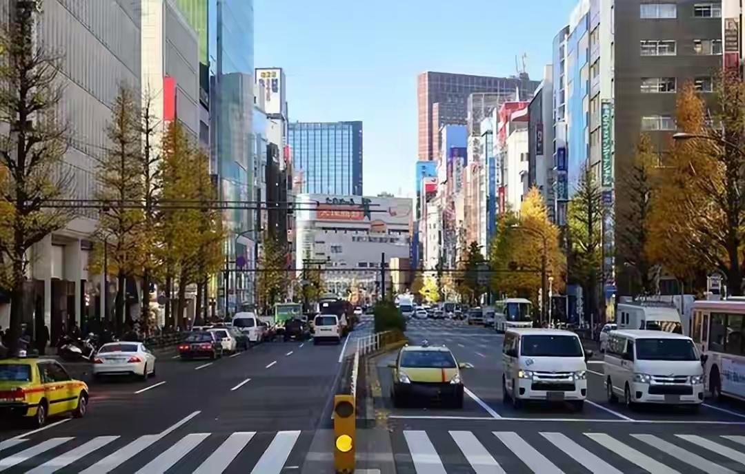 英法正式准备派兵乌克兰！俄乌战争的结局，竟是乌被彻底瓜分？