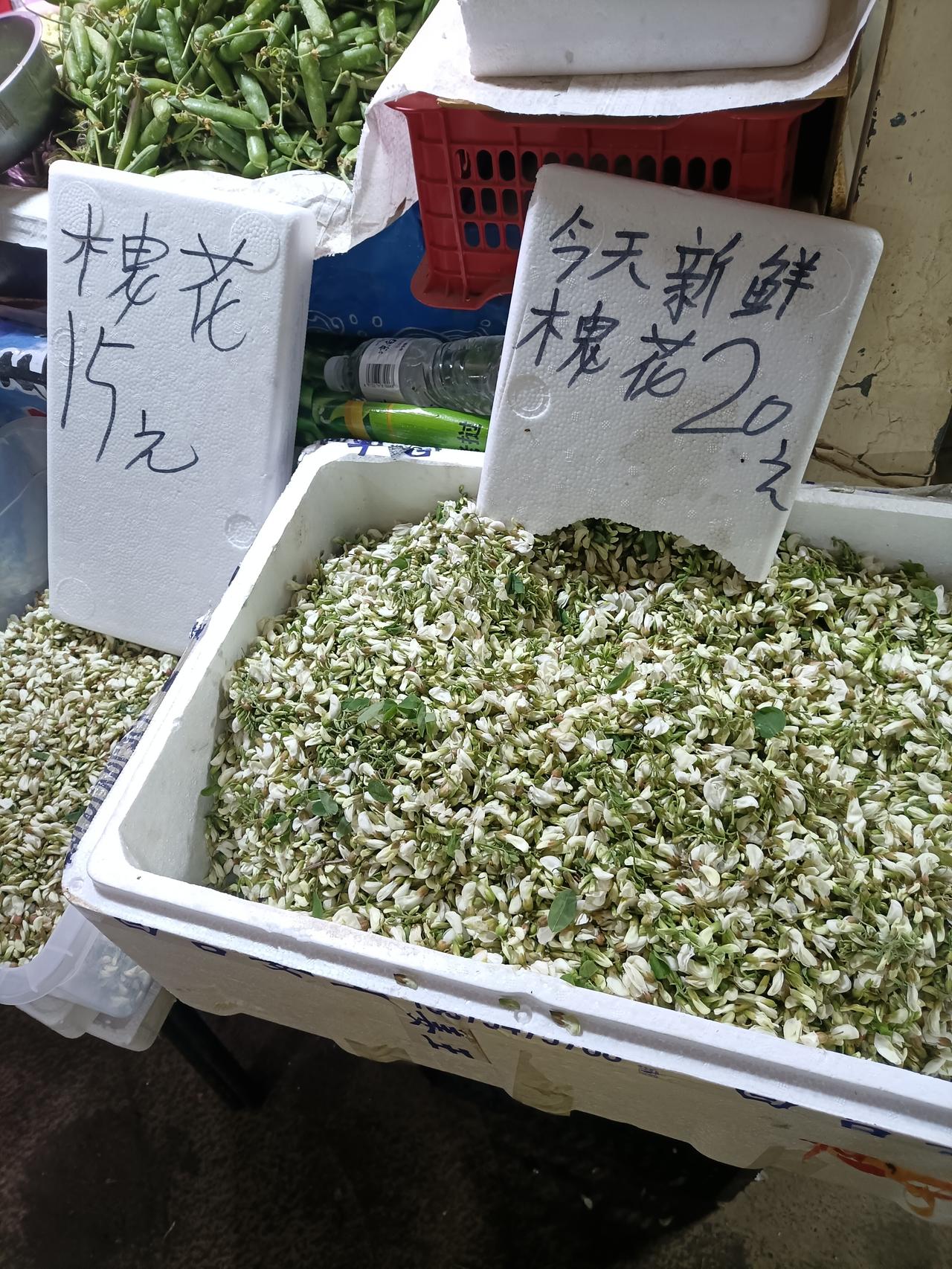 今天上午我去昌吉富民市场买菜，发现摊位上有槐花在售卖。标价一公斤20元，便宜的1