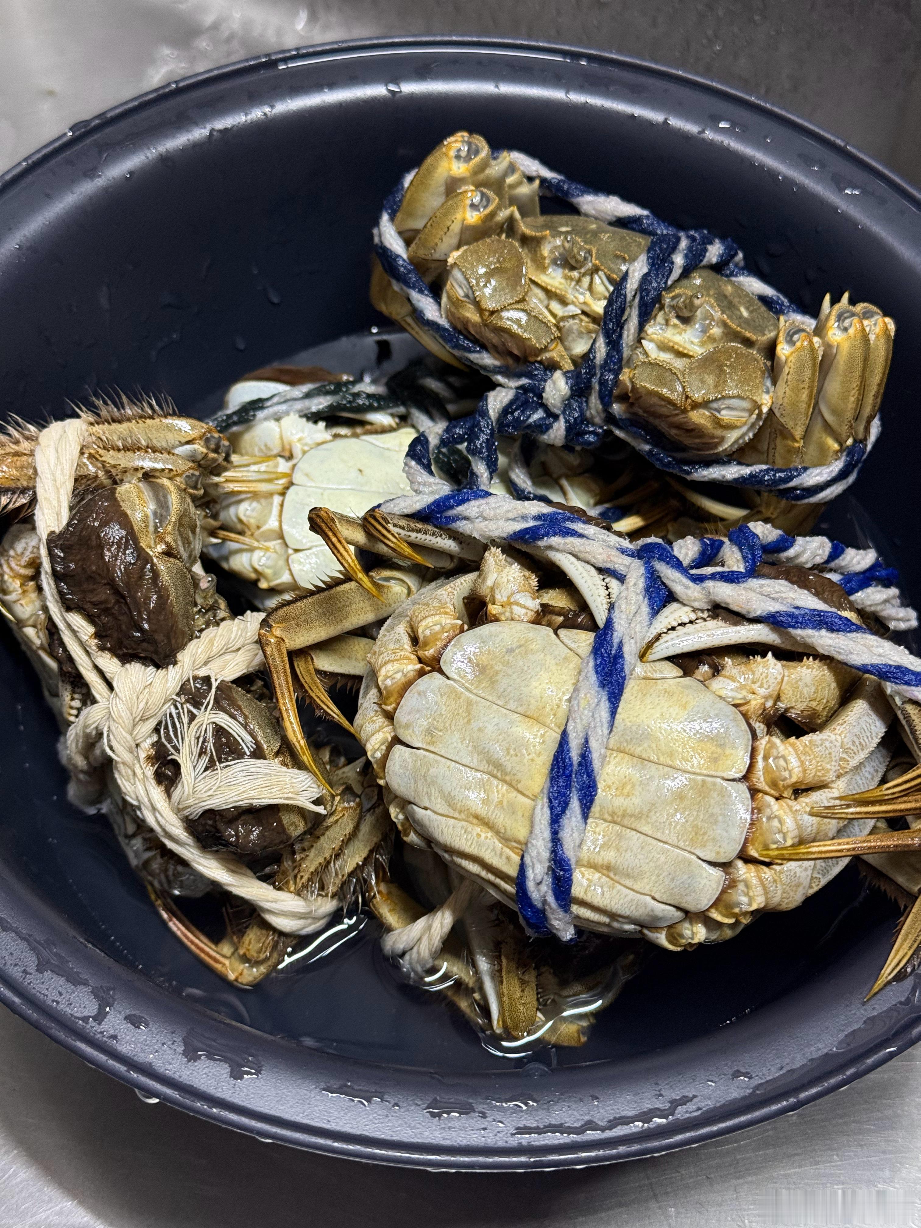 膏肥肉厚的大螃蟹 毛豆小炒肉 蜜汁烤翅 普宁豆酱奶白菜 玉米菌菇骨头汤哥哥回来啦