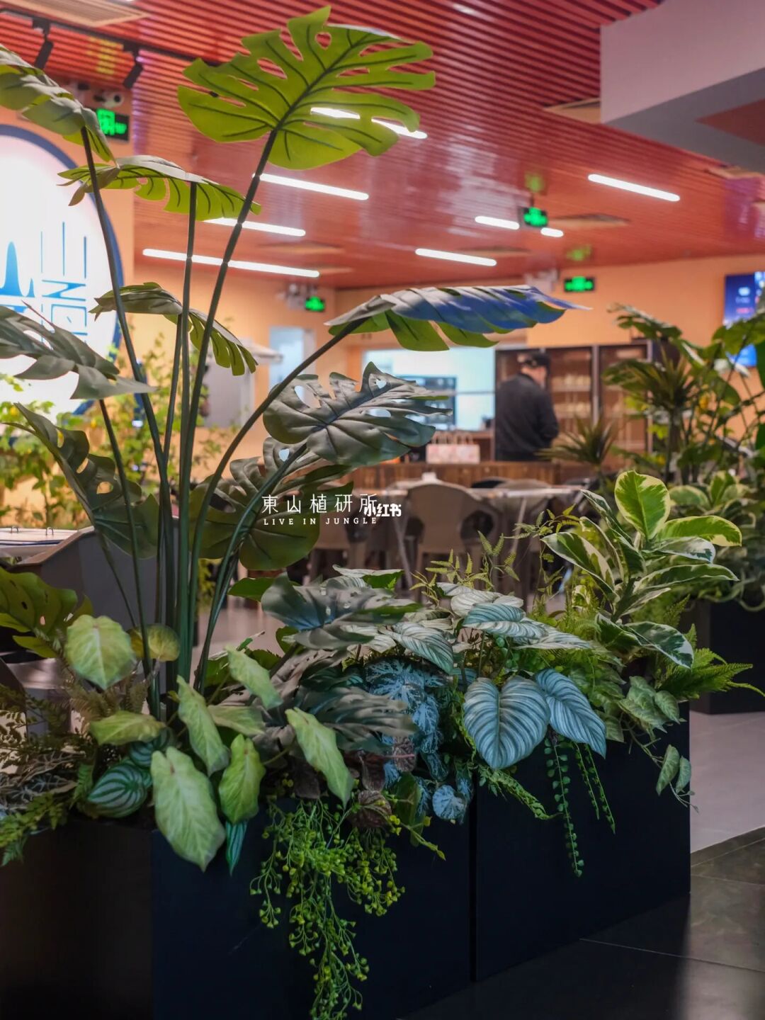 植物花箱｜仿真植物花箱 增添餐厅氛围感🆙