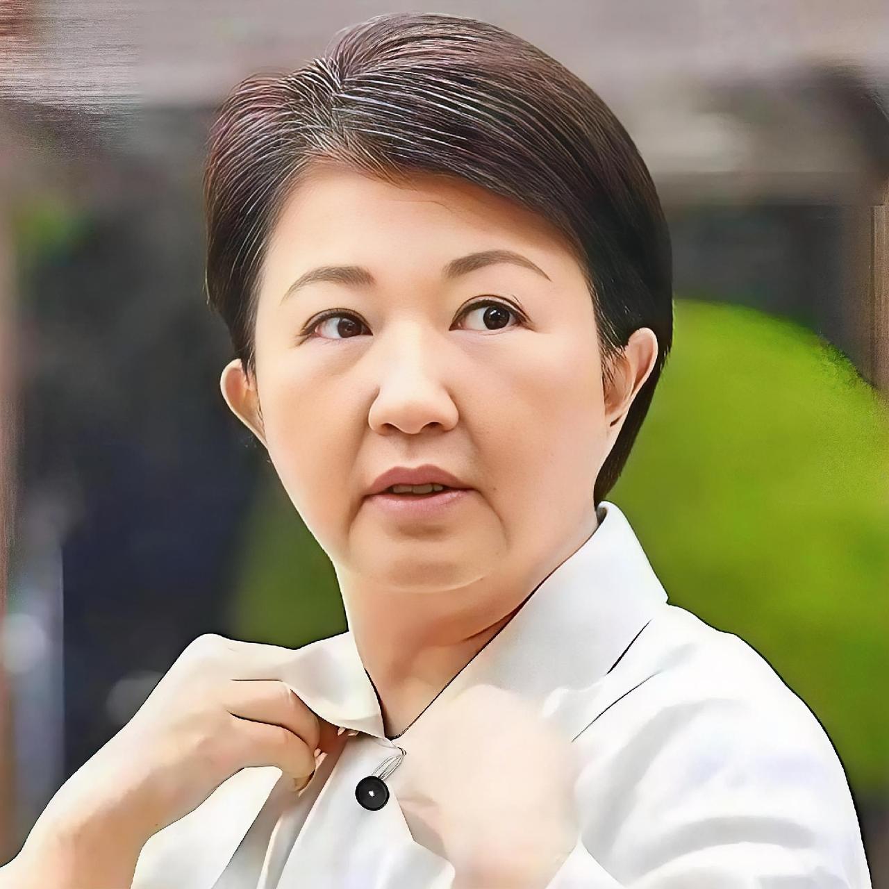 卢秀燕最新抛出“不挑衅、不投降、做好准备”的谬论

近日，所谓的台中市长卢秀燕以
