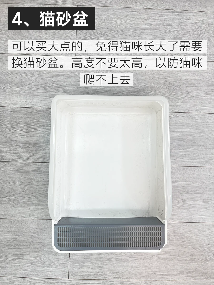 分享接猫必备用品，走平价路线|新手养猫