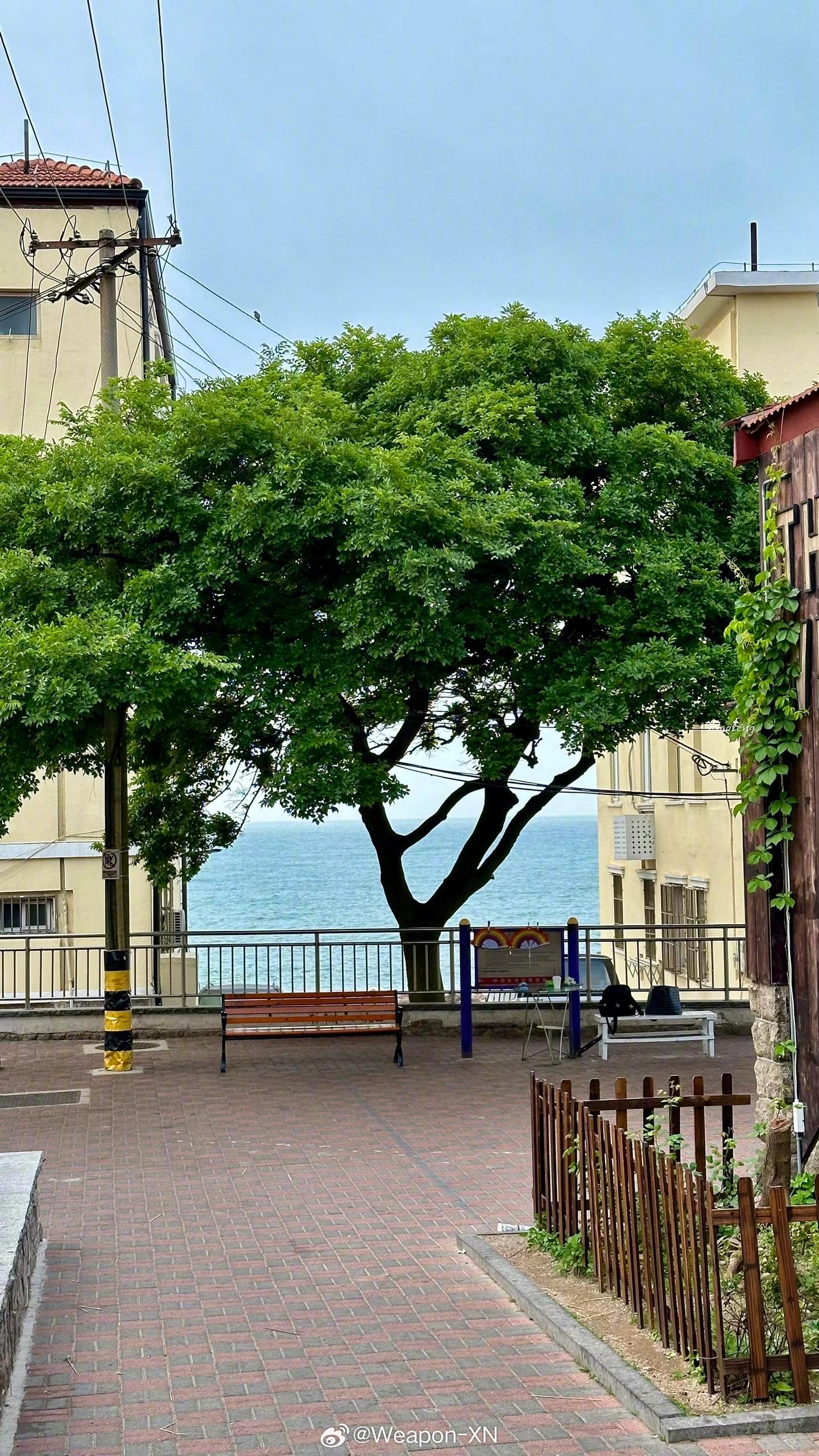 青岛，这座位于中国东海岸的璀璨明珠，以其独特的地理位置、迷人的海滨风光、现代化的