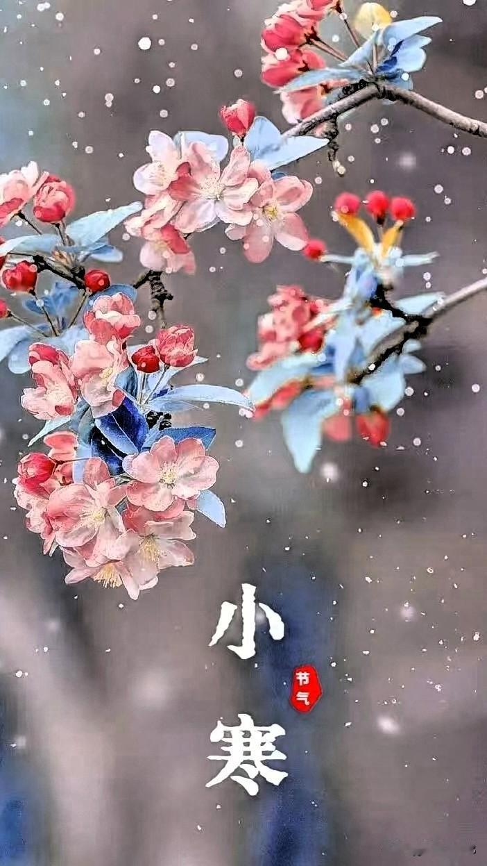 友们又是美好的一天！今天是1月5日，星期一。今天是小寒，小寒是二十四节气中的第二