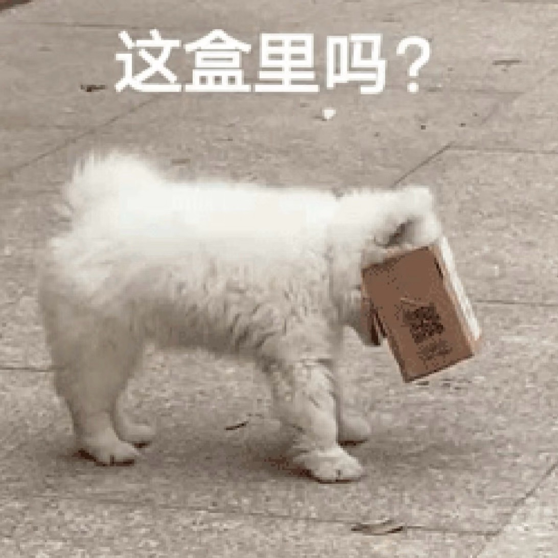 谁抢到6.1了 ​​​