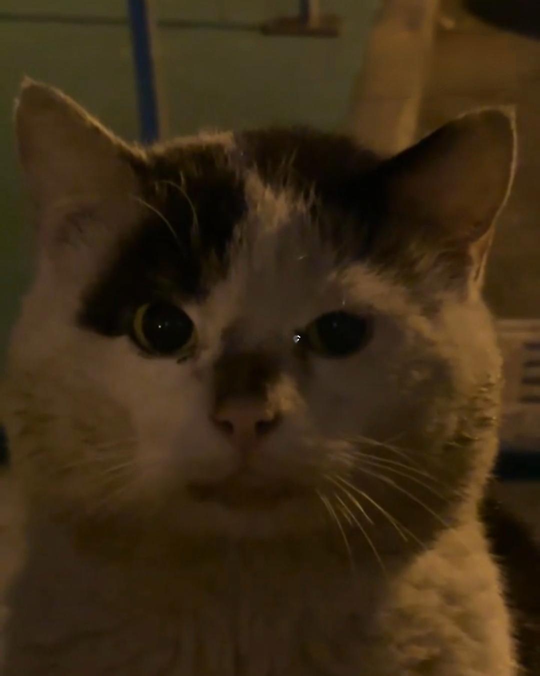 这真不是一张孩子的脸吗？ 