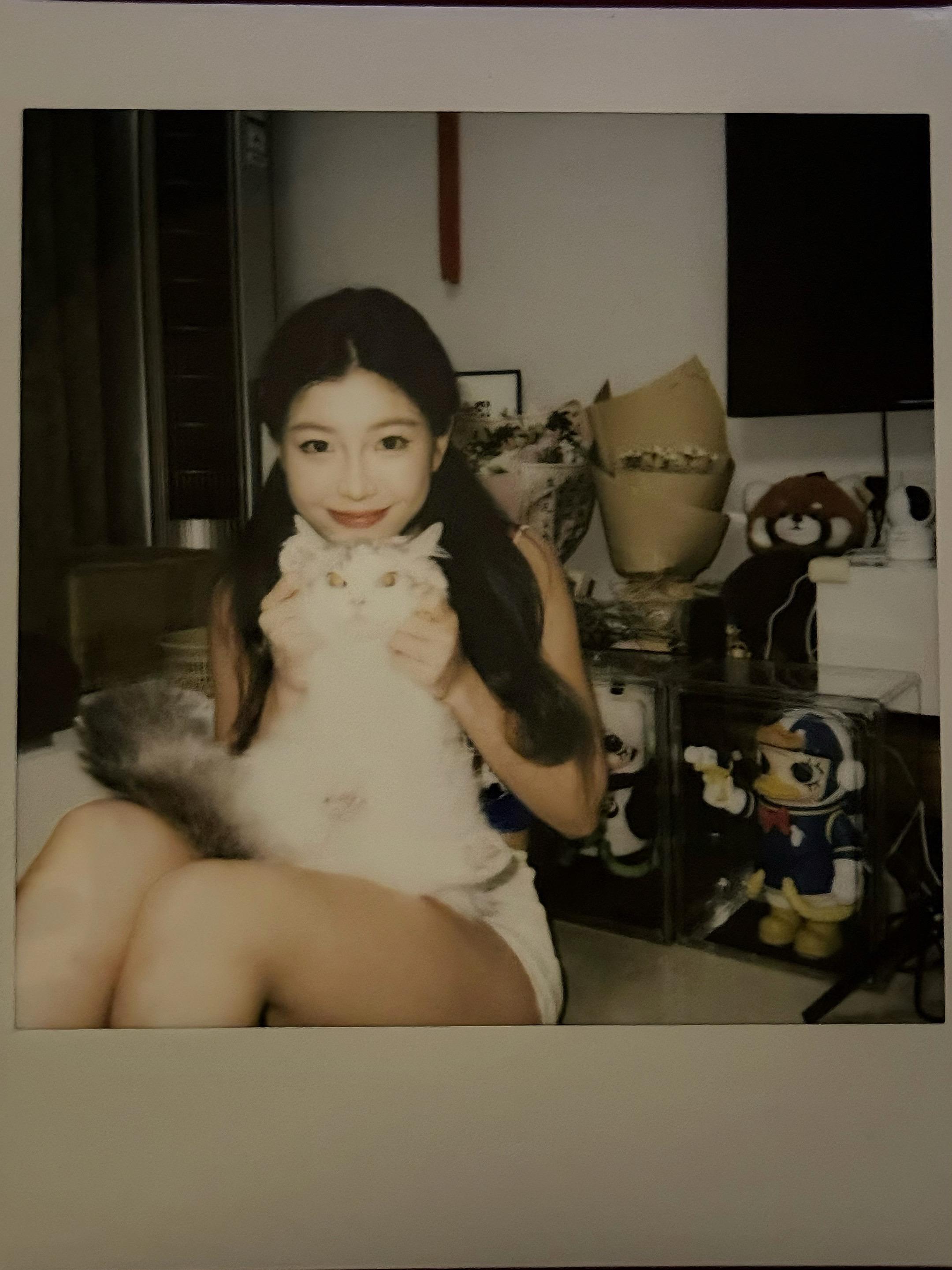 真真假假何为真