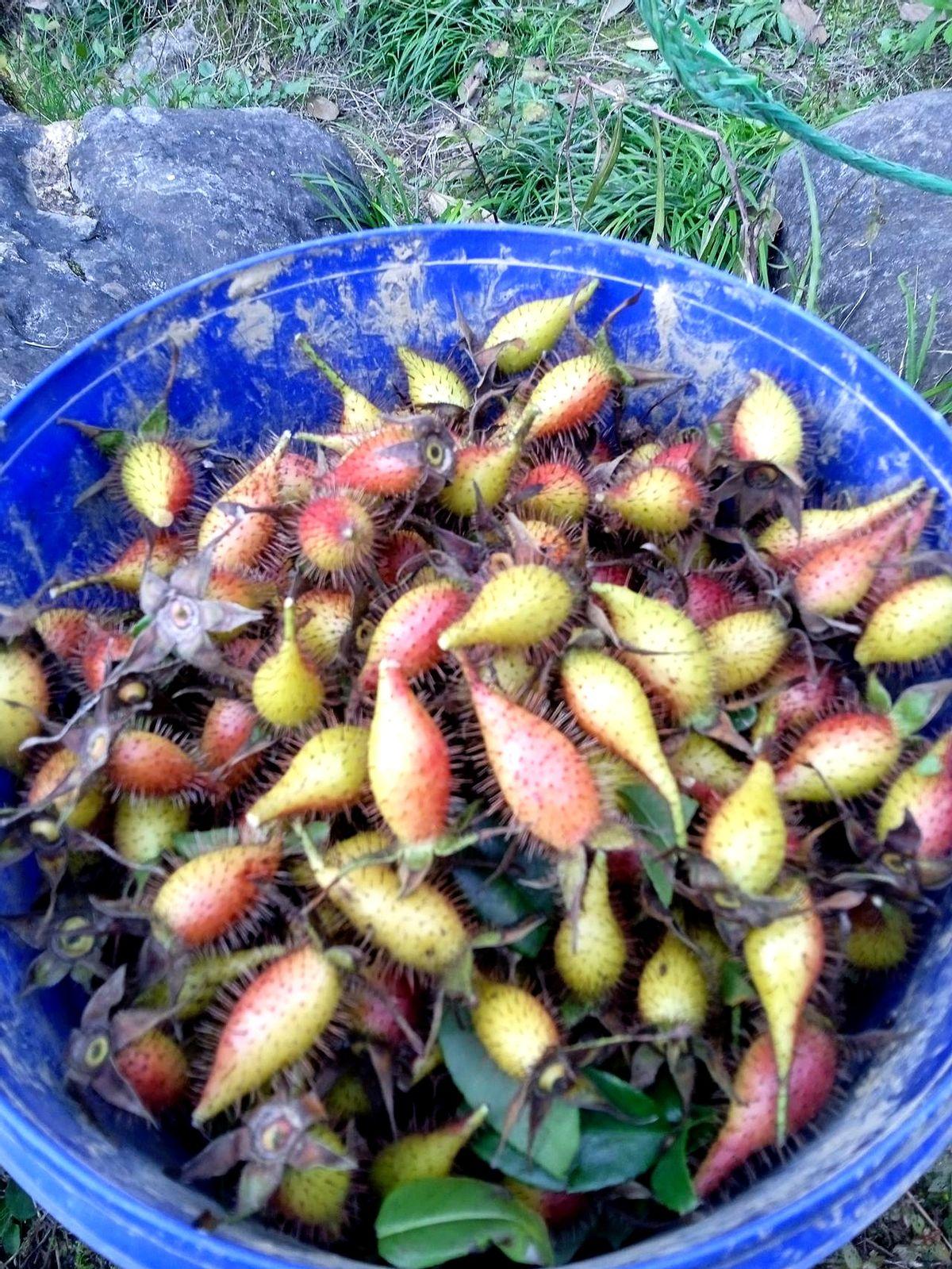 结婚都是女孩离开父母，去到男方家融入这个家庭。
女孩一个人打包好所有行李，告别了