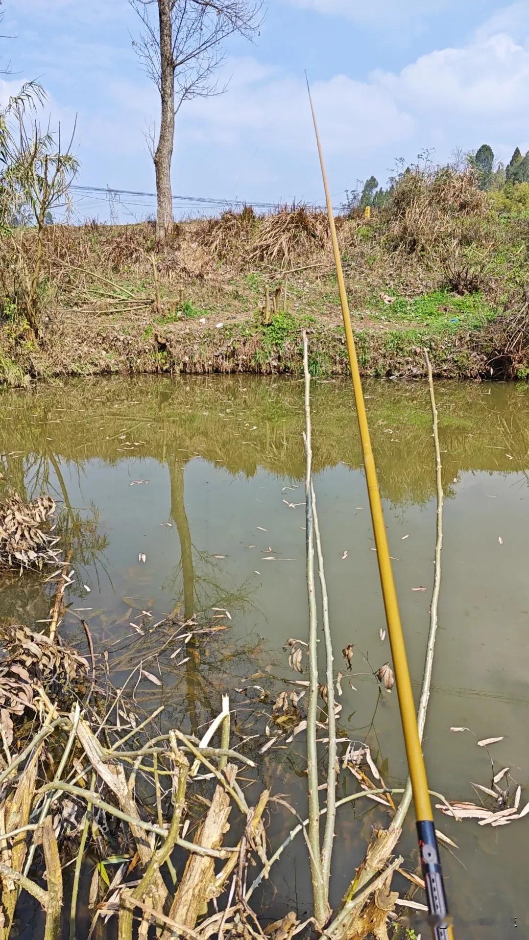 如果是家里有劳动力，建议自己耕种粮食比较好，那是因为这样一家人可以吃到比较健康绿