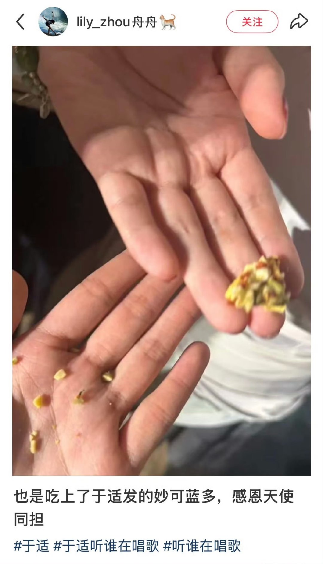 于适亲手给粉丝发饼干于适给粉丝发零食 今日份羡慕已拉满！于适在现场亲手发零食， 