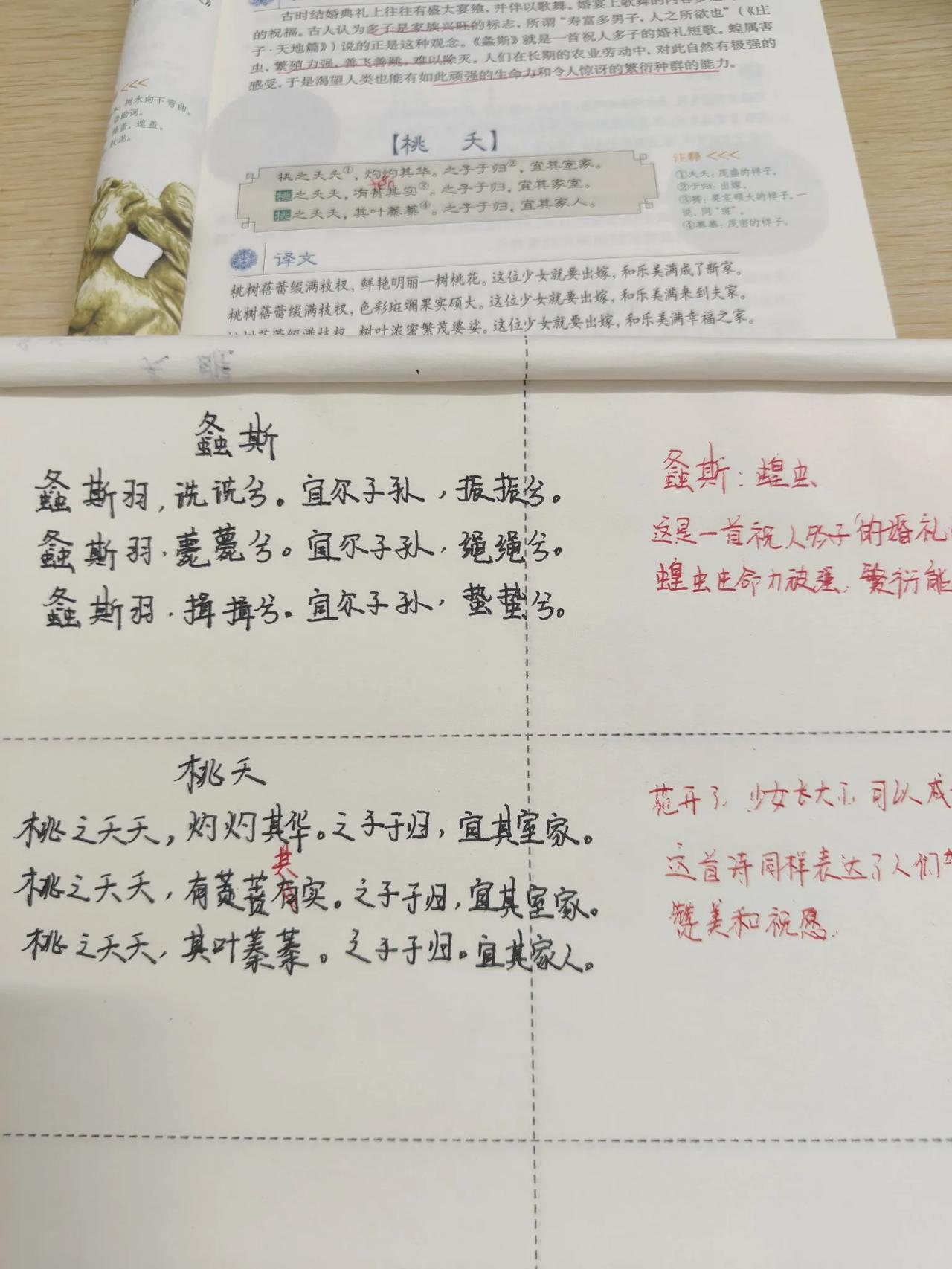 抄书打卡第38天，《桃夭》这首古诗同《关雎》一天，都是赞美新人的，不过，这首古诗