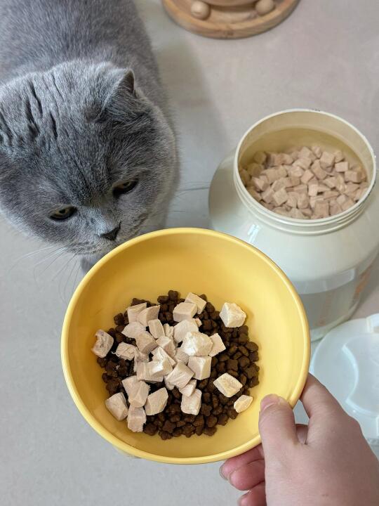 挖到宝了！谁懂整颗鸡胸肉冻干的快乐啊！