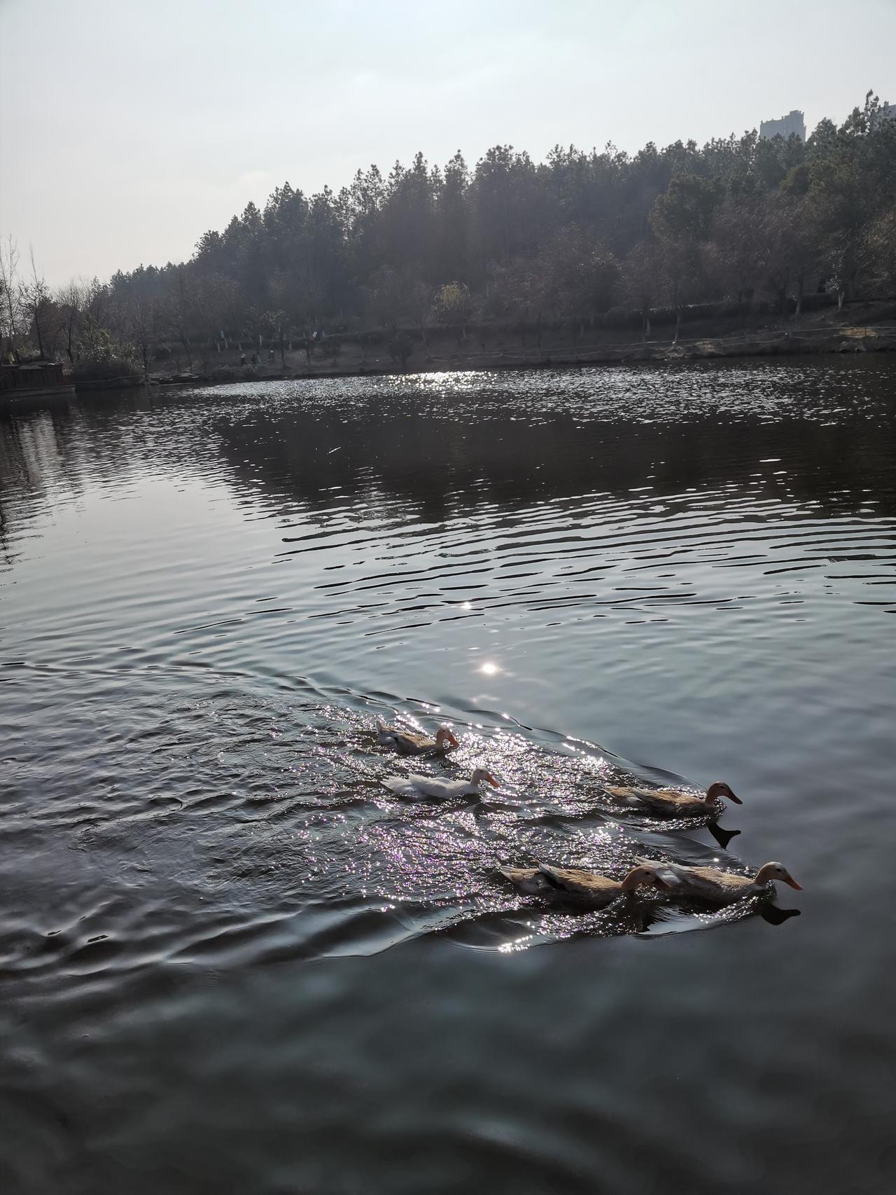 2025年底，
最温暖治愈的一句话：
“爱你老己天天见”
 
惦记是早，思念是晚