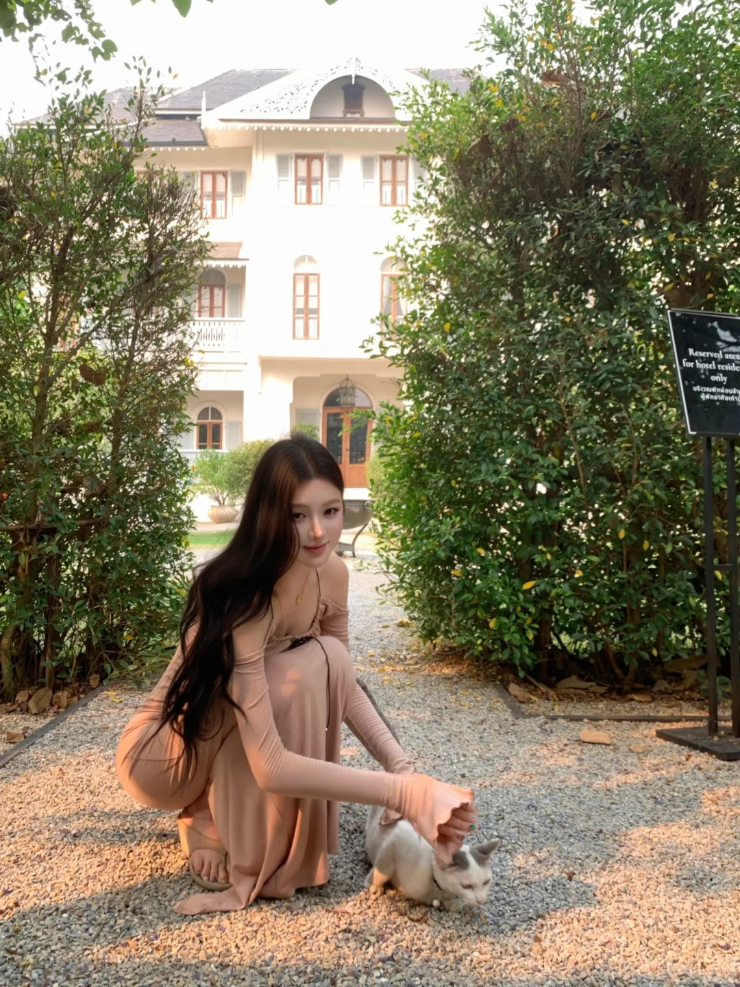 偶遇一只粘人小咪🐈