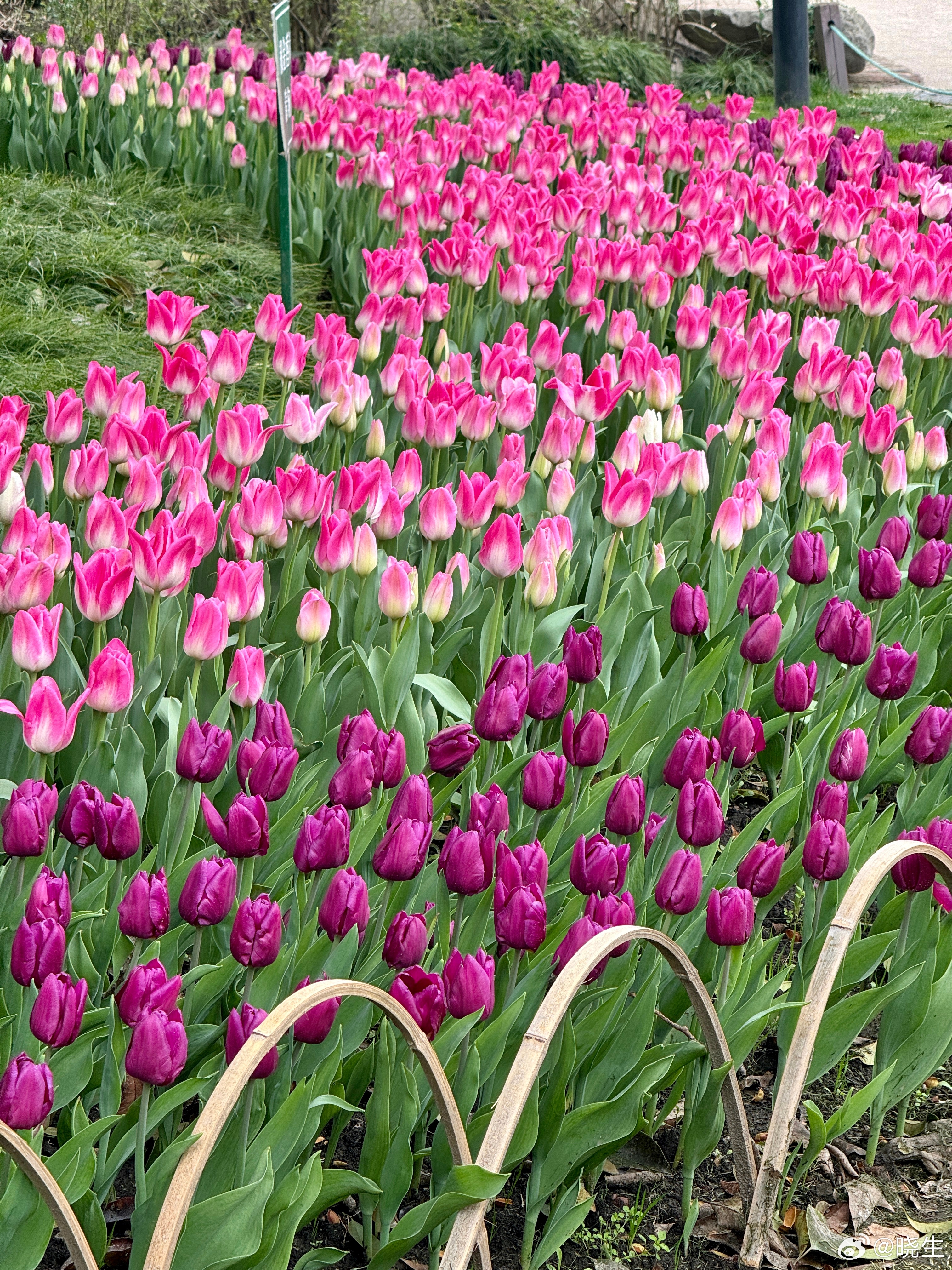 我做咨询这么多年，经常和大家说一个常见问题就是很多人以为自己在沟通，其实只是在输