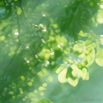 阳光信用‎阳光‎信用 ‎每日一善 以善良为师，得到的是正义和正直的教诲，即使步履