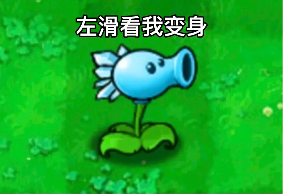 小僵尸，怎么看到我就走不动路啦