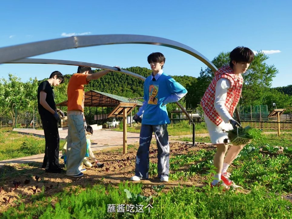 去地里薅菜（叉腰）“蘸酱吃这个”左航一路向海的少年